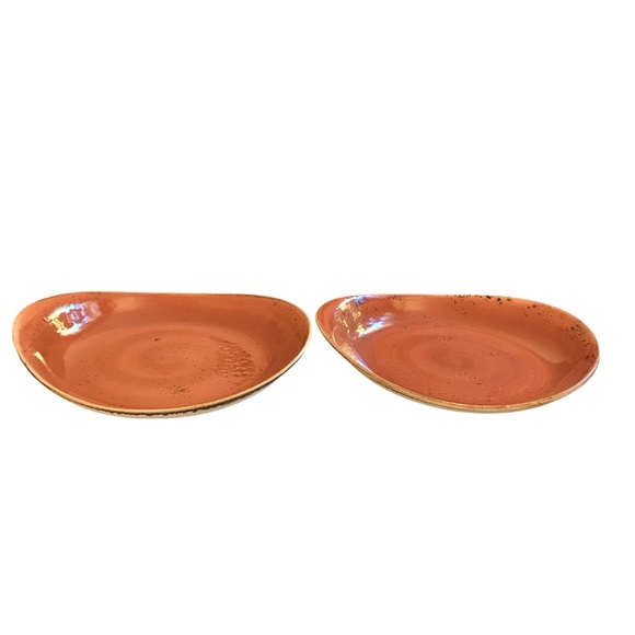 2 Steelite Craft Terracotta Freestyle Bowls Plates 9.5" England Pottery 11300521 - Picture 6 of 12